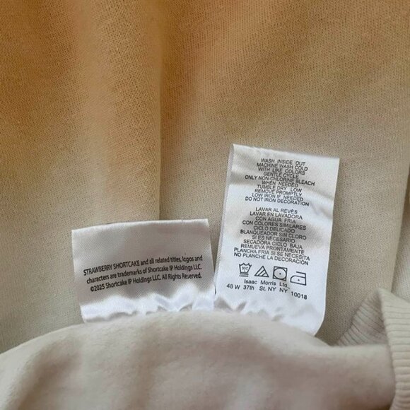 Strawberry Shortcake x Care Bears Oversized Sweatshirt NWT XXS - Picture 11 of 13